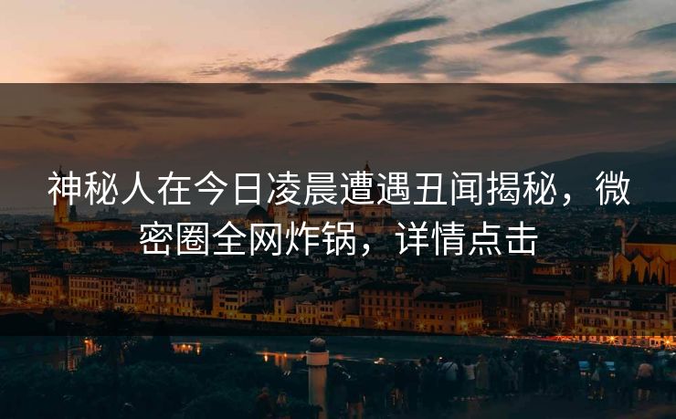 神秘人在今日凌晨遭遇丑闻揭秘，微密圈全网炸锅，详情点击